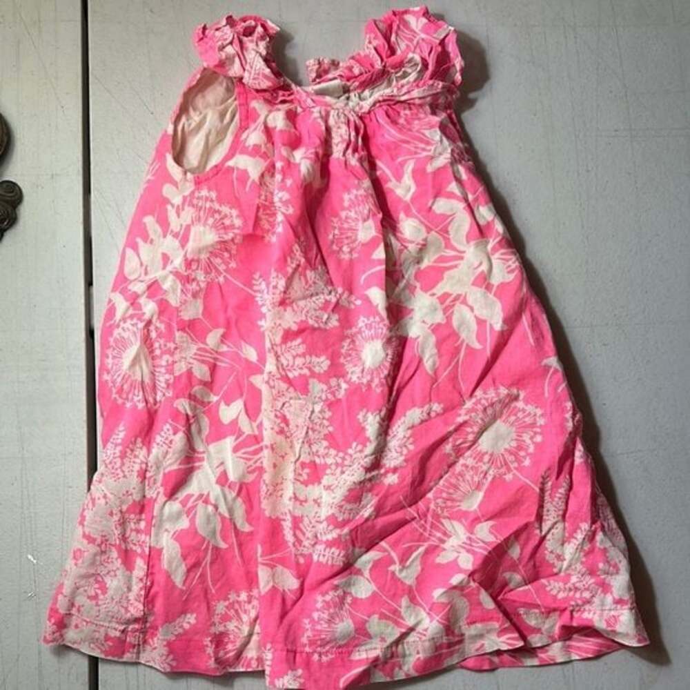 Baby Gap Floral Pink and White Dress Size 3